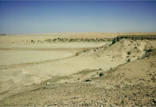 sahara_107