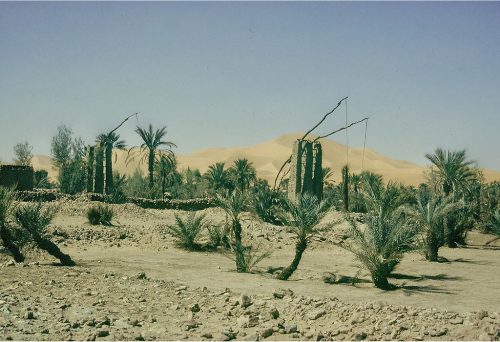 sahara_109