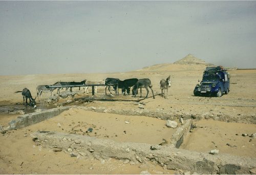 sahara_111