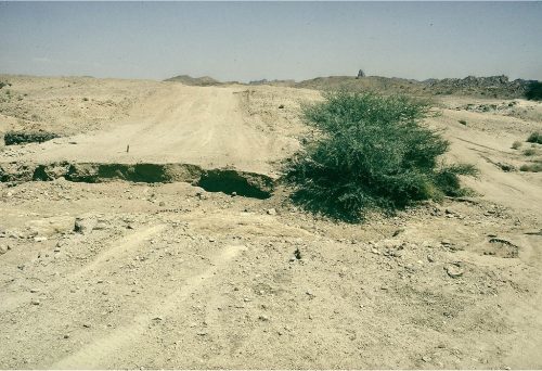 sahara_115