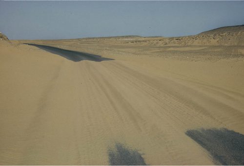 sahara_116