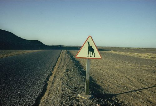 sahara_119