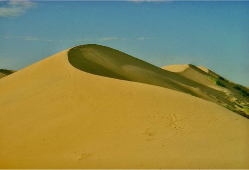 sahara 137